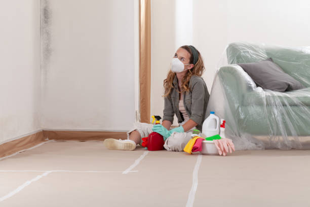 Reliable Mold Cleanup contractor in Frankfort, KY by Cheap Mold Removal